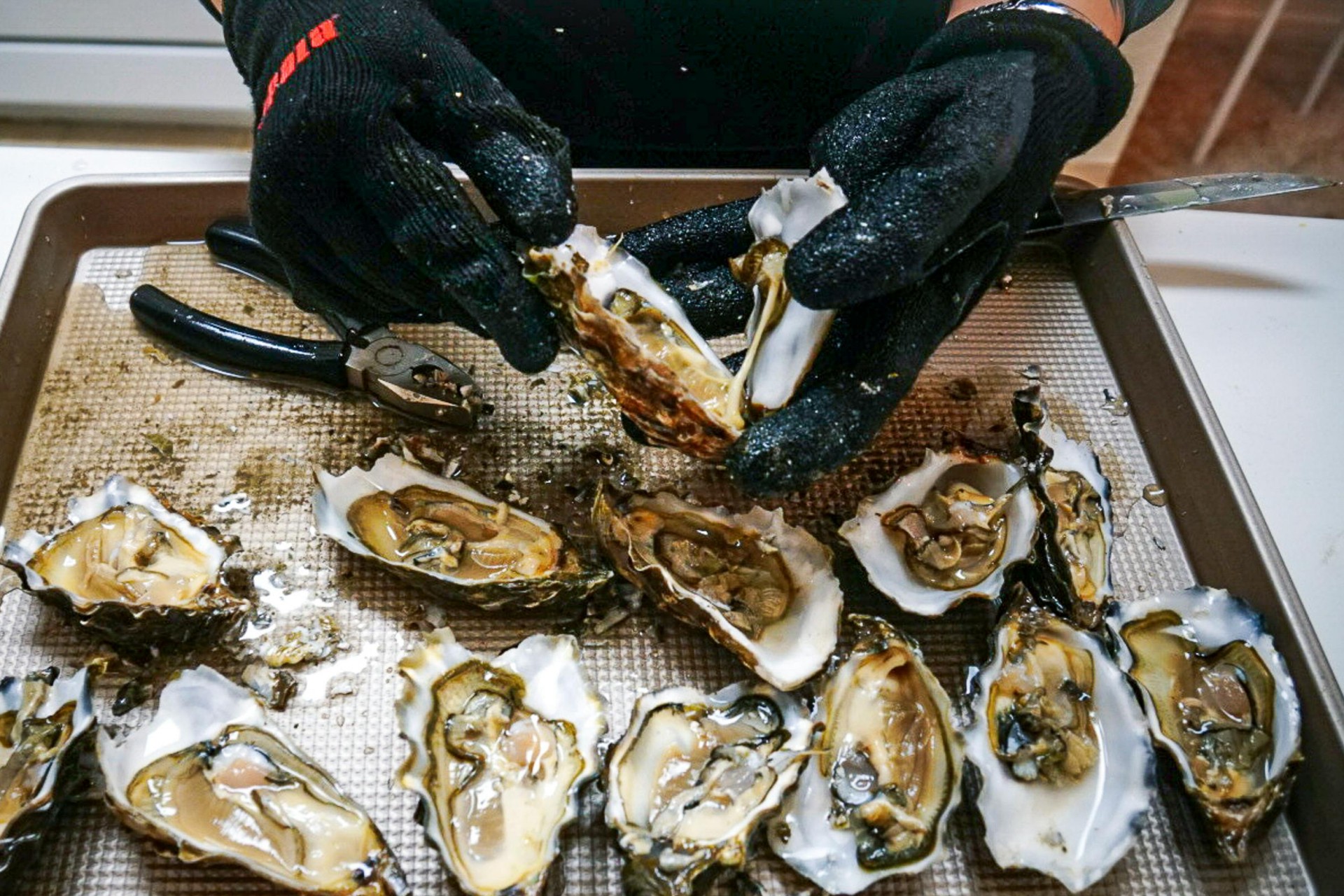 Kurz otevírání ústřic v Hotelu Kurdějov