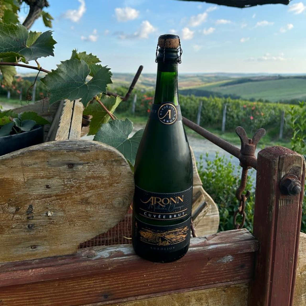 Vinařství v Hotelu Kurdějov